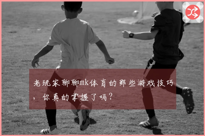 老玩家聊聊mk体育的那些游戏技巧，你真的掌握了吗？