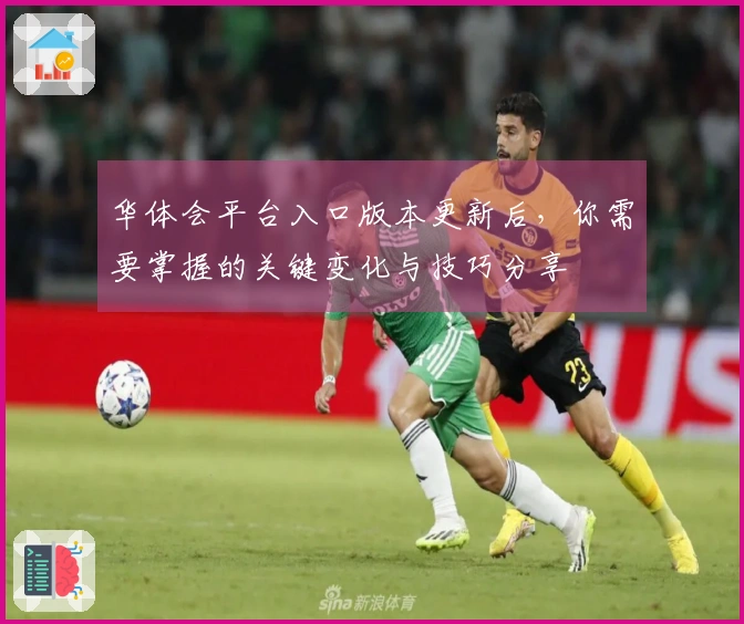 华体会平台入口版本更新后，你需要掌握的关键变化与技巧分享