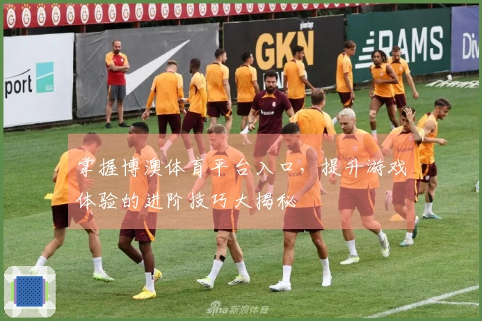 掌握博澳体育平台入口，提升游戏体验的进阶技巧大揭秘