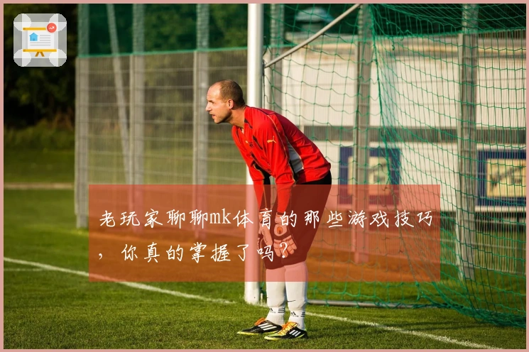 老玩家聊聊mk体育的那些游戏技巧，你真的掌握了吗？